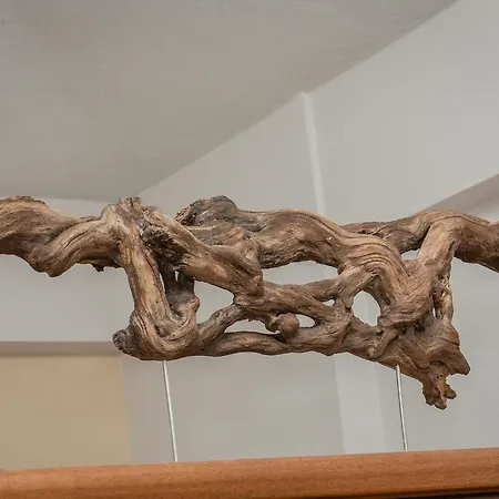 Ta Spitakia Tsarbopoulos * Κυπαρισσία