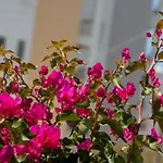 Appartamento Ta Spitakia Tsarbopoulos Kyparissia