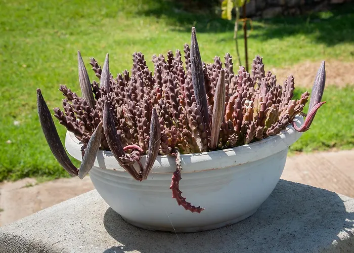 Ta Spitakia Tsarbopoulos Lejlighed