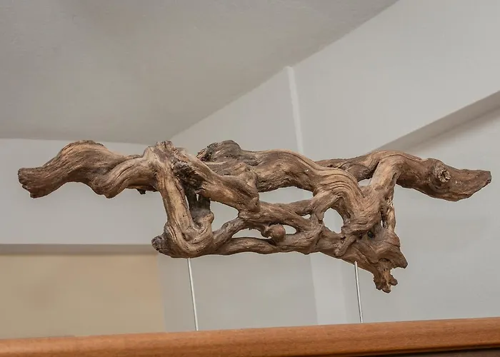 Ta Spitakia Tsarbopoulos * Kipariszía